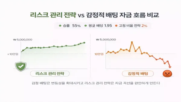 리스크 관리 전략과 감정적 배팅 자금 흐름 비교