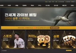 백호 lt-999.com 396만먹튀