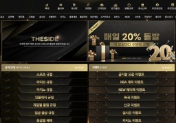 더사이드(ts-vo.com) 먹튀 피해 사례