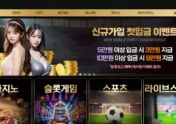 넷플릭스 먹튀 주의보: nf-365.com 사이트에서 185만원 피해 사례 폭로