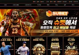 슈벳 먹튀 사례: sub-a2.com 도메인 197만원 피해 주의보