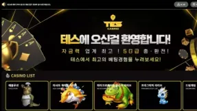 테스카지노 먹튀 사건: tes-77.com 도메인에서 200만원 피해 발생 주의보