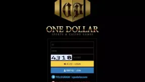 지인 추천으로 가입했는데 45만원을 몰수당했습니다, 원달러 이용자의 먹튀 피해