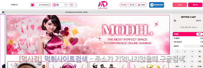 모델 먹튀신고 증거 자료 - 사설토토 및 토토사이트 먹튀검증 피해 사례