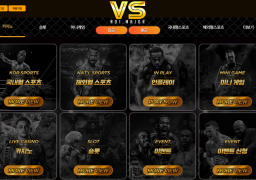 VS (구.MMA)