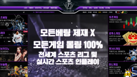 팔라딘 (PALADIN)