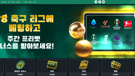 벳위즈 (BETWIZ)
