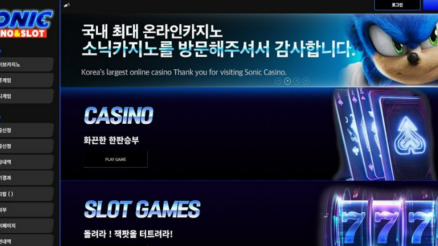 소닉 (SONIC)