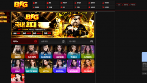 카지노사이트 빅카지노 (VIG CASINO) 2026년 2월 최신 정보