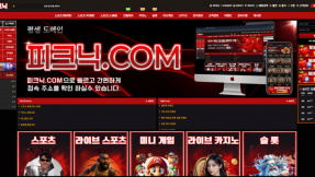토토사이트 피크닉 2026년 2월 최신 정보