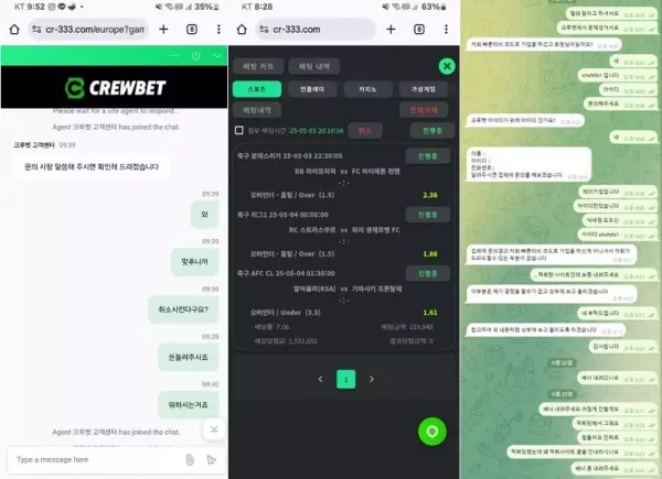 크루벳 먹튀 사건 폭로: bspin999.com에서 300만 원 피해!